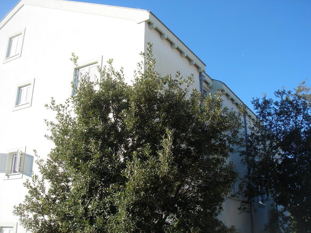 Villa Laurus Kožino المظهر الخارجي الصورة