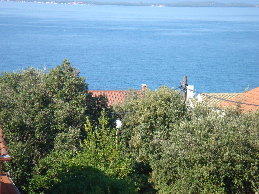 Villa Laurus Kožino المظهر الخارجي الصورة