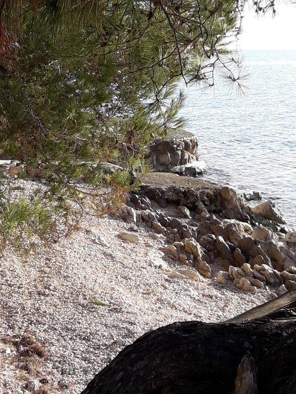 Villa Laurus Kožino المظهر الخارجي الصورة