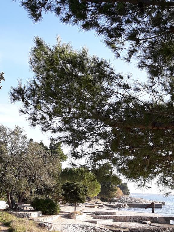 Villa Laurus Kožino المظهر الخارجي الصورة