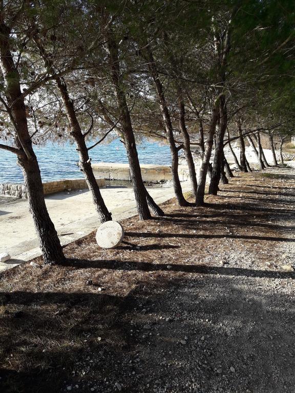 Villa Laurus Kožino المظهر الخارجي الصورة