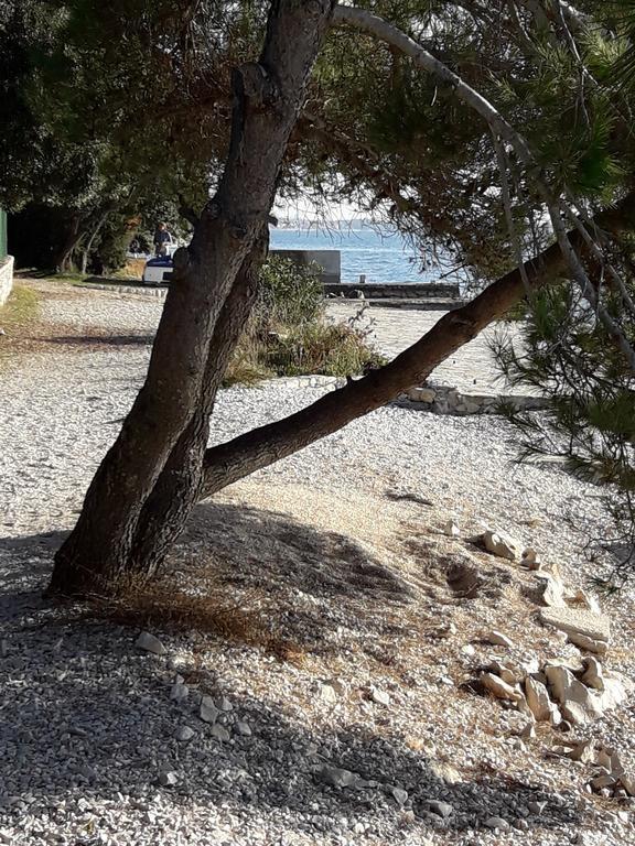 Villa Laurus Kožino المظهر الخارجي الصورة